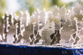 dm-warendorf-tag2-c_Konstantin_Hoehne-035